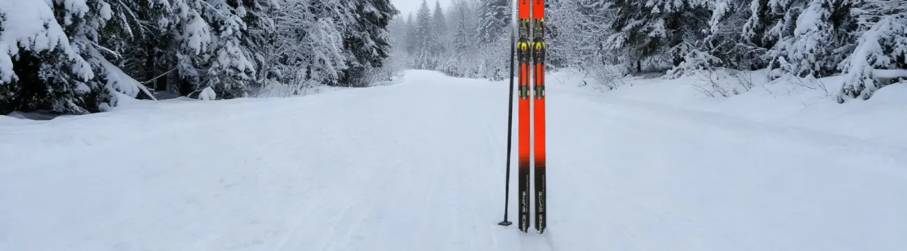 Как выбрать идеальные лыжи для новогодних прогулок? Как выбрать идеальные лыжи для новогодних прогулок?