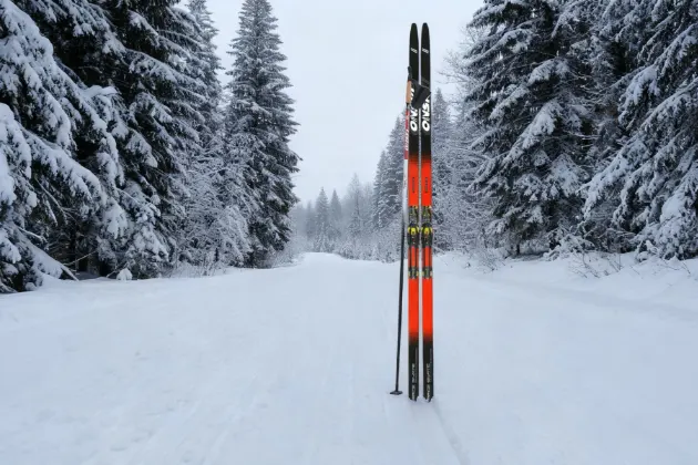 Как выбрать идеальные лыжи для новогодних прогулок?