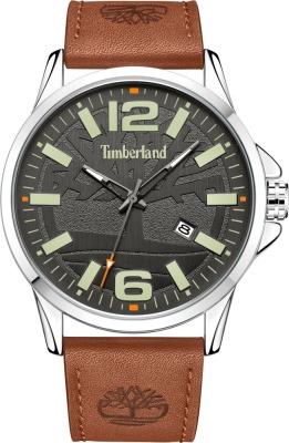 Наручные часы Timberland TDWGB2132201 Driscoll в магазине Спорт - Пермь