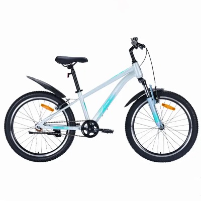 Велосипед TechTeam CALIBRI, 24" x12", серебро в Магазине Спорт - Пермь