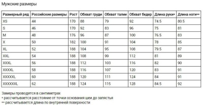 Шапка мужская Россия 70M-RT-1833/1, синяя
