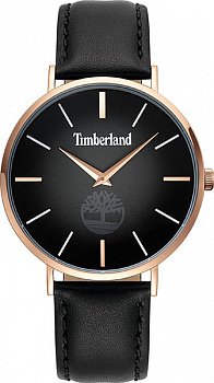 Наручные часы Timberland  TBL.15514JSR/02 в магазине Спорт - Пермь