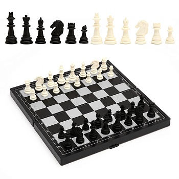 Шахматы магнитные, 24,5 х 24,5 см, 2590516