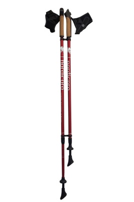 Палки для скандинавской ходьбы телескопические двухсекционные NordicPro, цвета в ассортименте