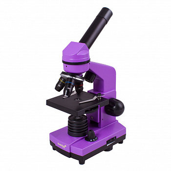 Микроскоп Levenhuk Rainbow 2L, цвет аметист