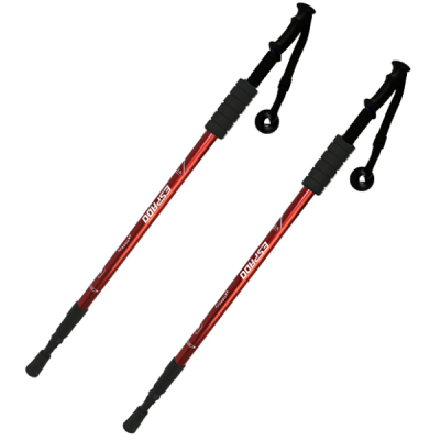 Палки для скандинавской ходьбы телескопические Espado ENW-003, 3 секции, пластиковая ручка, цвета в ассортименте