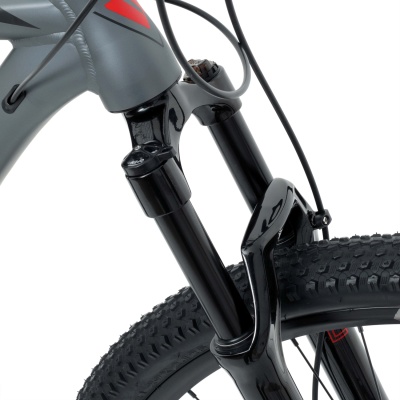 Велосипед Welt Raven 1.0 HD 29 2024, Anthracite в Магазине Спорт - Пермь