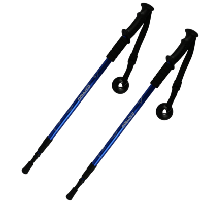 Палки для скандинавской ходьбы телескопические Espado ENW-003, 3 секции, пластиковая ручка, цвета в ассортименте