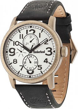 Наручные часы Timberland TBL 14812JSK/01 в магазине Спорт - Пермь