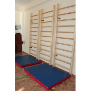 Мат гимнастический 1х1х0,10 м ВИК PLASTEP, цвет уточняйте в Магазине Спорт - Пермь