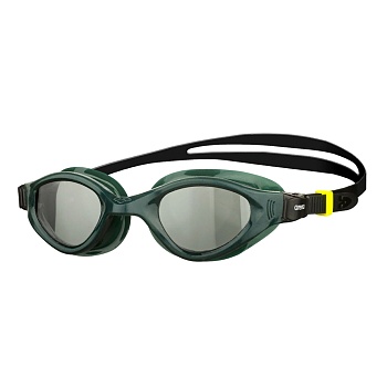 Очки для плавания ARENA CRUISER EVO, 002509 565, smoked-army-black в магазине Спорт - Пермь
