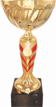 Кубок 542Е-RD (5), высота 21,5 см, D 100