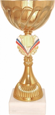 Кубок 537А (1), высота 26 см, D 120