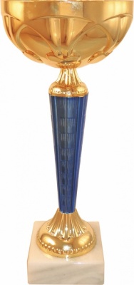 Кубок P403C-BL (3), высота 23 см, D 100