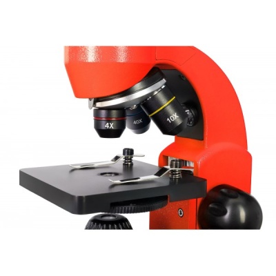 Микроскоп Levenhuk Rainbow 50L (апельсин)