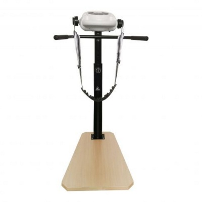 Вибромассажер ленточный DFC Vibro25 VM25H в Магазине Спорт - Пермь