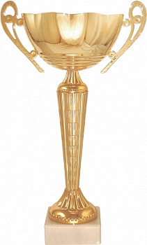 Кубок 7163D, высота 20,5 см