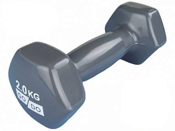 Гантель виниловая GO DO, 2кг, серый в Магазине Спорт - Пермь