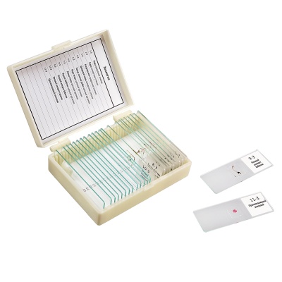 Набор препаратов Микромед "Зоология" (11 образцов для школы)