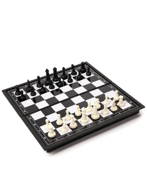 Шахматы магнитные 20 х 20 см, артикул 10643388
