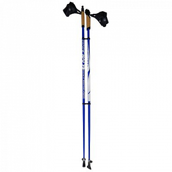 Палки для скандинавской ходьбы CMD-sport, 50% Carbon, цвета в ассортименте