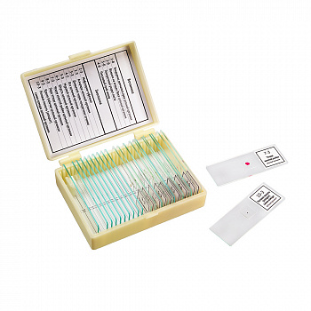 Набор препаратов Микромед "Ботаника и Зоология" (14 образцов)