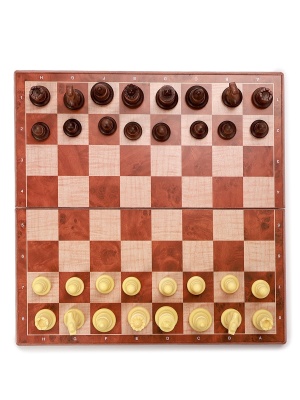 Шахматы магнитные 24 х 24 см, артикул 10643408