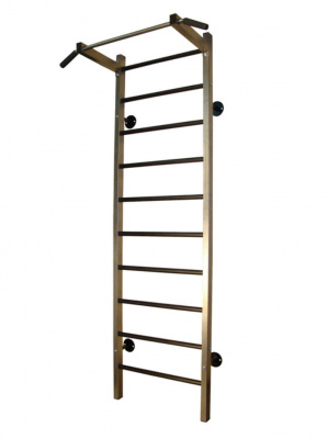 Шведская стенка PRO-T с фиксированным турником Т-фикс в Магазине Спорт - Пермь