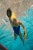 Лопатки для отработки техники гребка Mad Wave Grabber Forearm M0742 01 0 01W в магазине Спорт - Пермь Лопатки для отработки техники гребка Mad Wave Grabber Forearm M0742 01 0 01W в магазине Спорт - Пермь