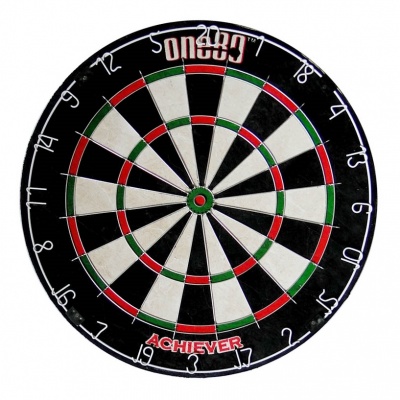Мишень для дартс One 80 Achiever