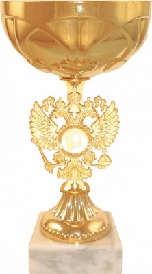 Кубок P401C (3), высота 23 см, D 100