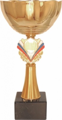 Кубок 538A (1) металл