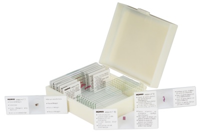 Набор микропрепаратов Konus 10 "Ящерицы,змеи и птицы"