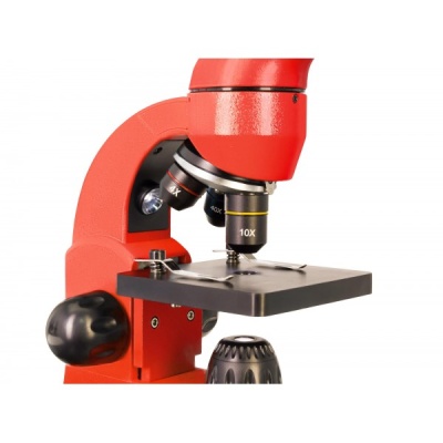 Микроскоп Levenhuk Rainbow 50L (апельсин)