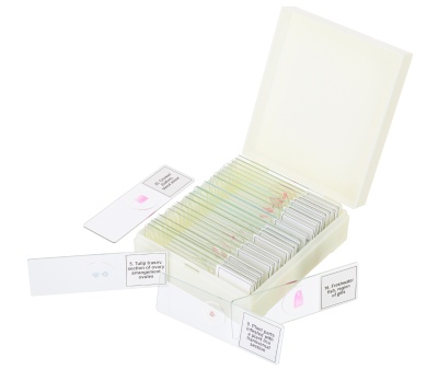 Набор микропрепаратов Discovery Prof DPS 25. «Биология, птицы и др»