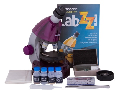 Микроскоп Levenhuk LabZZ M101 (Аметист)