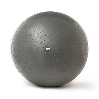 Мяч гимнастический TORRES диаметром 85 см, с насосом, Диаметр 85 см в Магазине Спорт - Пермь