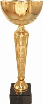 Кубок 560C (3) высота 225мм