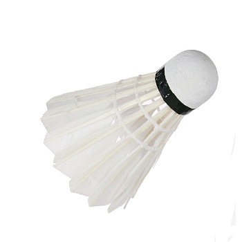 Волан для бадминтона YONEX AS-40 #2 средний