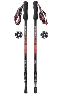 Палки для ходьбы TechTeam Everest, цвета в ассортименте